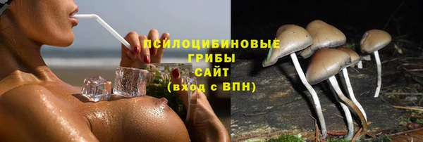 соль ск Заволжск