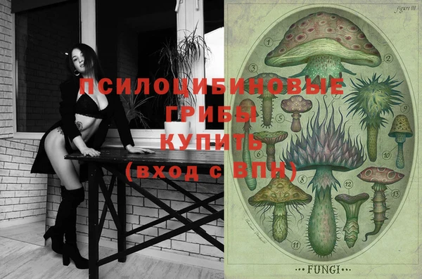 a pvp Заводоуковск