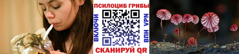 Купить  Знаменск  Галлюциногенные грибы прущие грибы 