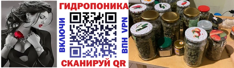 Купить закладки  Знаменск  Конопля OG Kush 